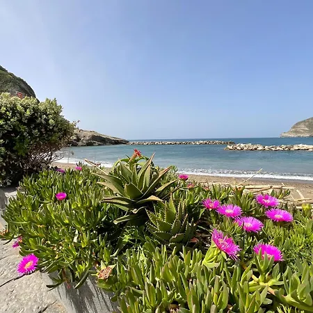 Casa Francesco Seaside アパート Sant'Angelo (Isola d'Ischia)
